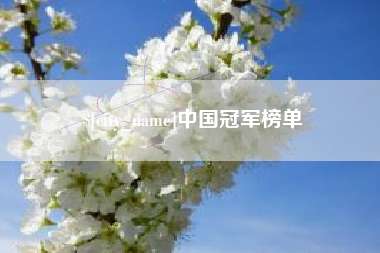 怀化中国冠军榜单
