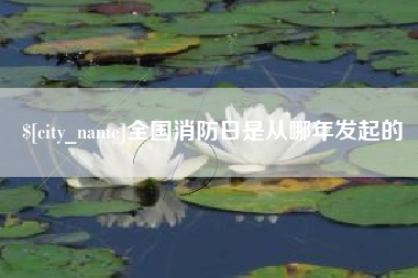 怀化全国消防日是从哪年发起的