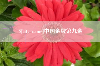 怀化中国金牌第九金