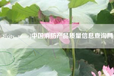 怀化中国消防产品质量信息查询网