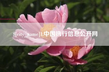 怀化1.中国执行信息公开网