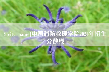 怀化中国消防救援学院2024年招生分数线