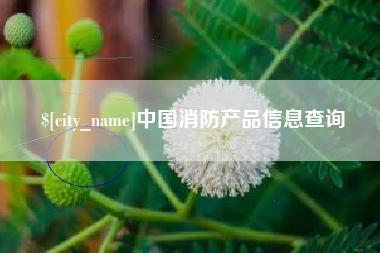 怀化中国消防产品信息查询
