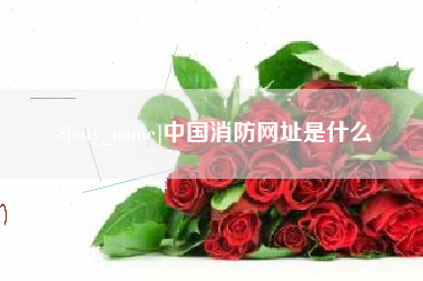 怀化中国消防网址是什么