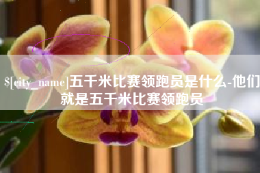 怀化五千米比赛领跑员是什么-他们就是五千米比赛领跑员