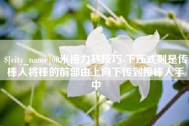 怀化60米接力赛技巧-下压式则是传棒人将棒的前部由上向下传到接棒人手中
