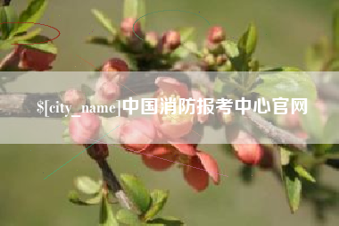 怀化中国消防报考中心官网