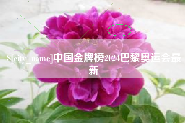 怀化中国金牌榜2024巴黎奥运会最新