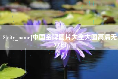 怀化中国金牌图片大全大图高清无水印