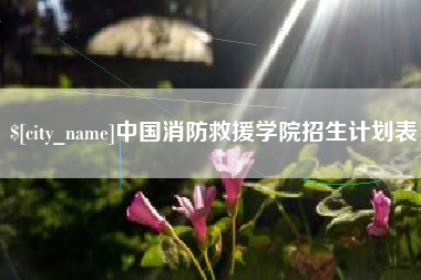 怀化中国消防救援学院招生计划表