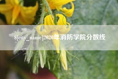 怀化2020年消防学院分数线
