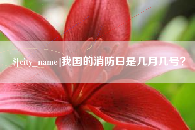 怀化我国的消防日是几月几号？
