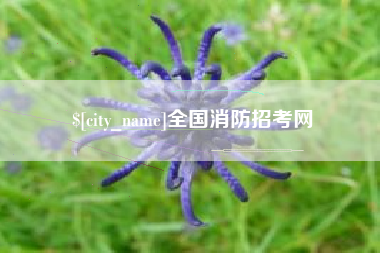 怀化全国消防招考网