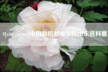 怀化中国消防救援学院山东选科要求