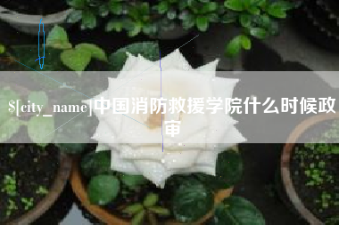 怀化中国消防救援学院什么时候政审