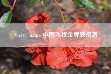 怀化中国九枚金牌获得者