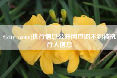 怀化执行信息公开网查询不到被执行人信息