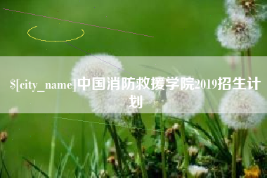 怀化中国消防救援学院2019招生计划