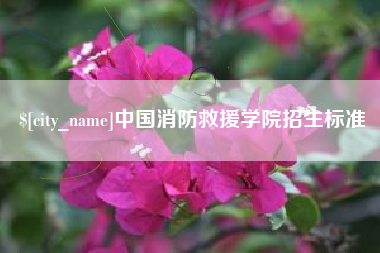 怀化中国消防救援学院招生标准