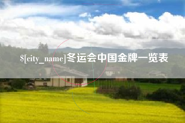 怀化冬运会中国金牌一览表