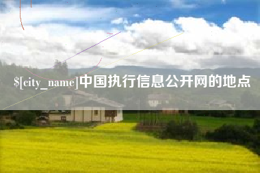 怀化中国执行信息公开网的地点