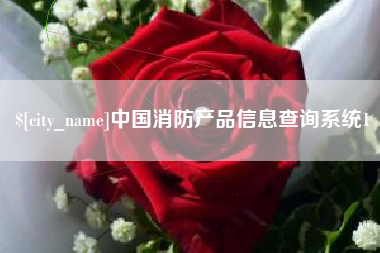 怀化中国消防产品信息查询系统1