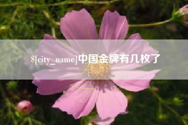 怀化中国金牌有几枚了