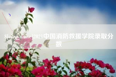 怀化2021中国消防救援学院录取分数