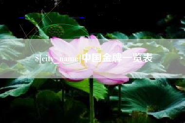 怀化中国金牌一览表