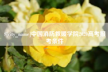 怀化中国消防救援学院2020高考报考条件