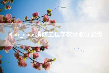 怀化消防工程学校录取分数线