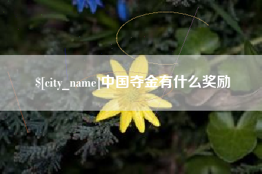 怀化中国夺金有什么奖励