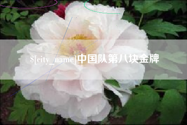 怀化中国队第八块金牌