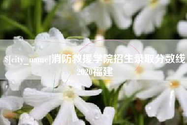 怀化消防救援学院招生录取分数线2020福建