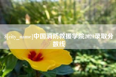 怀化中国消防救援学院2021录取分数线