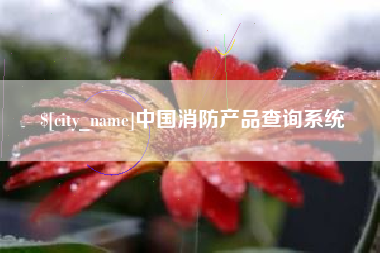 怀化中国消防产品查询系统