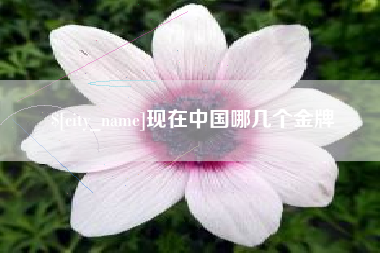 怀化现在中国哪几个金牌