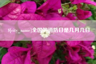 怀化全国的消防日是几月几日