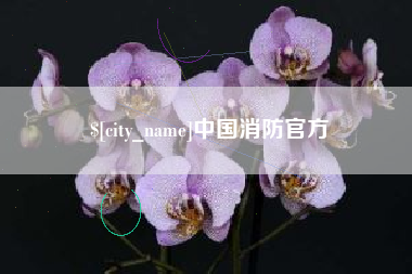 怀化中国消防官方