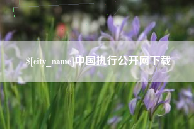 怀化中国执行公开网下载