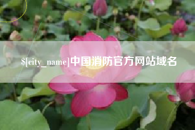 怀化中国消防官方网站域名