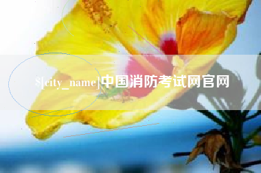 怀化中国消防考试网官网