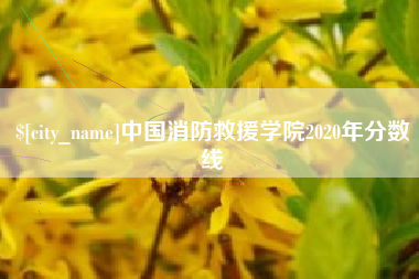 怀化中国消防救援学院2020年分数线