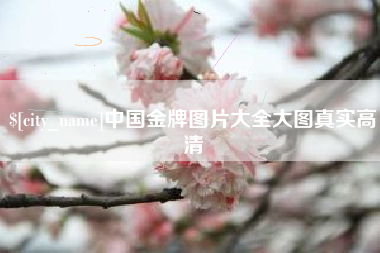 怀化中国金牌图片大全大图真实高清