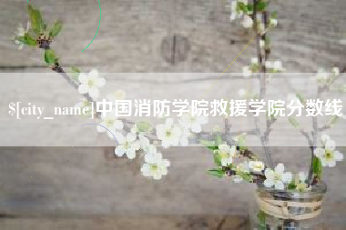 怀化中国消防学院救援学院分数线