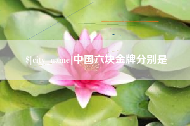 怀化中国六块金牌分别是