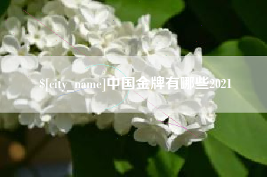怀化中国金牌有哪些2021