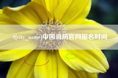 怀化中国消防官网报名时间