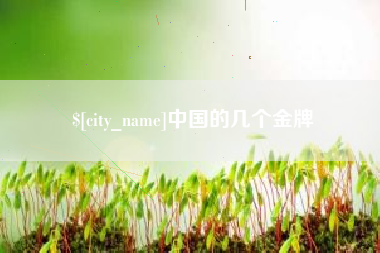怀化中国的几个金牌