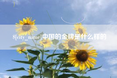 怀化中国的金牌是什么样的